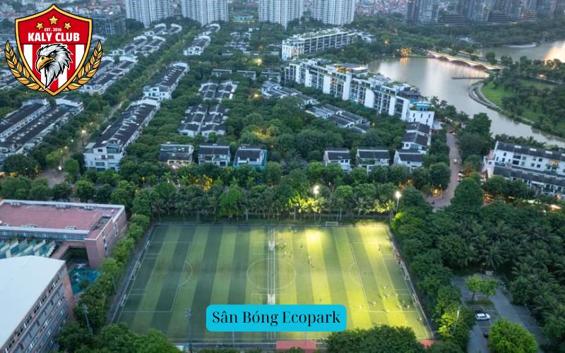 Sân Bóng Ecopark