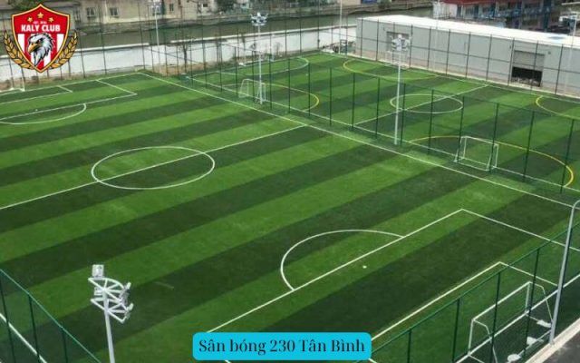 Sân bóng 230 Tân Bình
